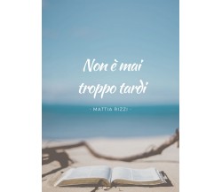 Non è mai troppo tardi	 di Mattia Rizzi,  2019,  Youcanprint