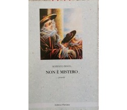 Non è mistero  di Roberto Bison,  1997,  Editrice Flaviana - ER