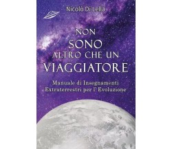 Non sono altro che un viaggiatore di Nicolò Di Lella, 2023, Youcanprint