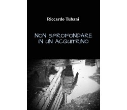 Non sprofondare in un acquitrino di Riccardo Tubani,  2021,  Youcanprint