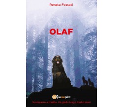 OLAF. Scomparso e tradito. Un giallo lungo dodici mesi. di Renata Fossati,  2022