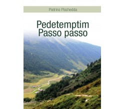 Pedetemptim - Passo passo	 di Pietrino Pischedda,  2016,  Youcanprint