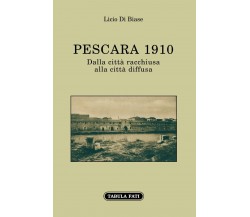 Pescara 1910. Dalla città racchiusa alla città diffusa di Licio Di Biase, 2022