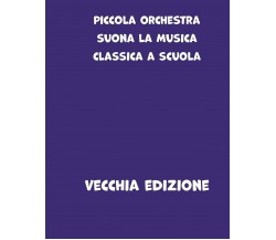 Piccola Orchestra Suona la Musica Classica a Scuola Primaria di Libero Iannuzzi,