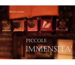 Piccole immensità di Michele Colombo,  2018,  Youcanprint