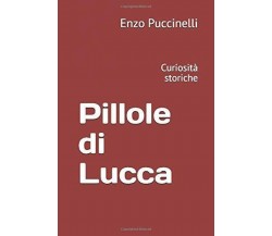 Pillole di Lucca: Curiosità storiche di Enzo Puccinelli,  2021,  Indipendently P