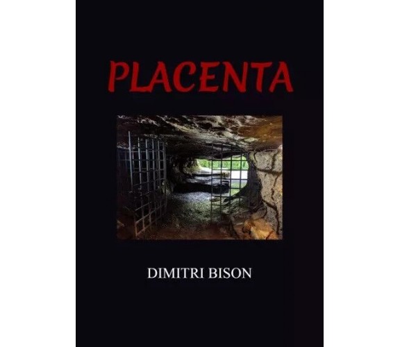 Placenta di Dimitri Bison, 2022, Youcanprint