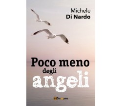 Poco meno degli angeli	 di Michele Di Nardo,  2018,  Youcanprint