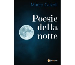 Poesie della notte di Marco Calzoli,  2017,  Youcanprint