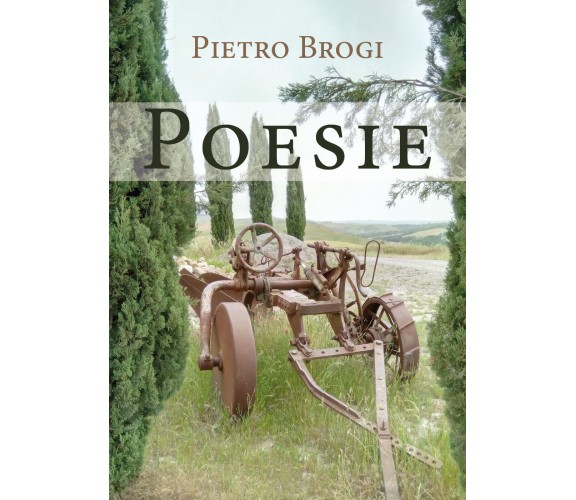 Poesie di Pietro Brogi,  2019,  Youcanprint