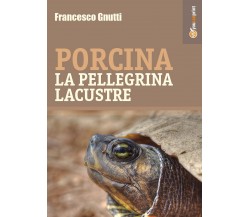 Porcina la pellegrina lacustre	 di Francesco Gnutti,  2017,  Youcanprint