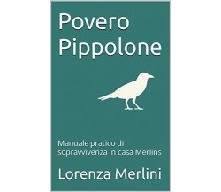 Povero Pippolone: Manuale pratico di sopravvivenza in casa Merlins di Lorenza Me