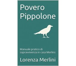 Povero Pippolone: Manuale pratico di sopravvivenza in casa Merlins di Lorenza Me