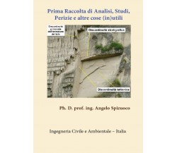 Prima Raccolta di Analisi Studi, Perizie e altre cose (in)utili, Angelo Spizuoco