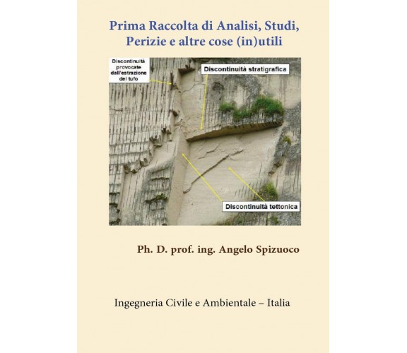 Prima Raccolta di Analisi Studi, Perizie e altre cose (in)utili, Angelo Spizuoco