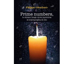 Prime numbers, lo strano luogo dove incontrai le sopracciglia di Dio	 di Filippo