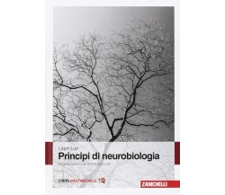 Principi di neurobiologia. Con Contenuto digitale - Liqun Luo - Zanichelli, 2017