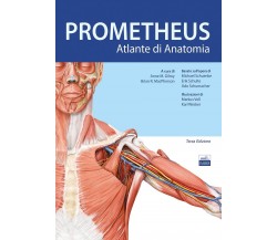 Prometheus. Altante di anatomia -  Anne M. Gilroy - Edises, 2019