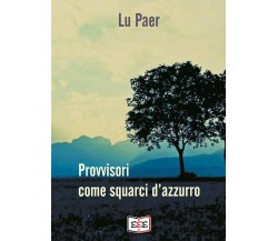 Provvisori come squarci d’azzurro di Lu Paer,  2020,  Edizioni Tripla E