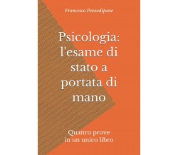 Psicologi: l’esame Di Stato a Portata Di Mano Quattro Prove in un Unico Libro di