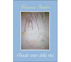 Quale senso della vita	 di Vincenzo Scuderi,  2015,  Youcanprint