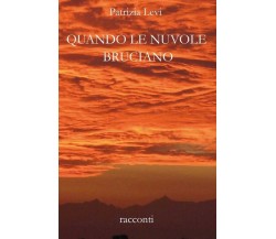 Quando le nuvole bruciano	 di Patrizia Levi,  2018,  Youcanprint