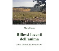  Riflessi lucenti dell’anima (sana anima sanat corpus) di Mario Bianco, 2023, 