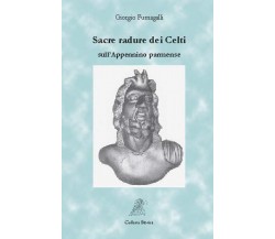  SACRE RADURE DEI CELTI SULL’APPENNINO PARMENSE di Giorgio Fumagalli, 2017, A