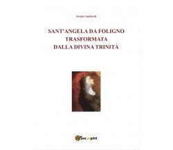 Sant’Angela da Foligno trasformata dalla Divina Trinità -  Sergio Andreoli