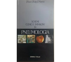 Schemi clinici e immagini in pneumologia di Aa.vv., 1988, Searle Italia