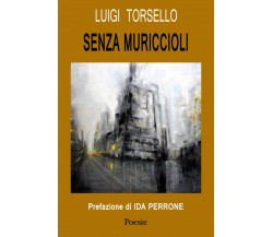 Senza muriccioli di Luigi Torsello,  2018,  Youcanprint