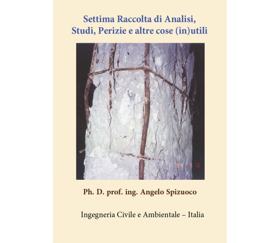 Settima raccolta di analisi, studi, perizie e altre cose (in)utili di Angelo Spi