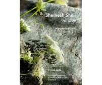 Shemesh Sheli שמש שלי. Il mio sole. Un viaggio personale e moderno della cucina 