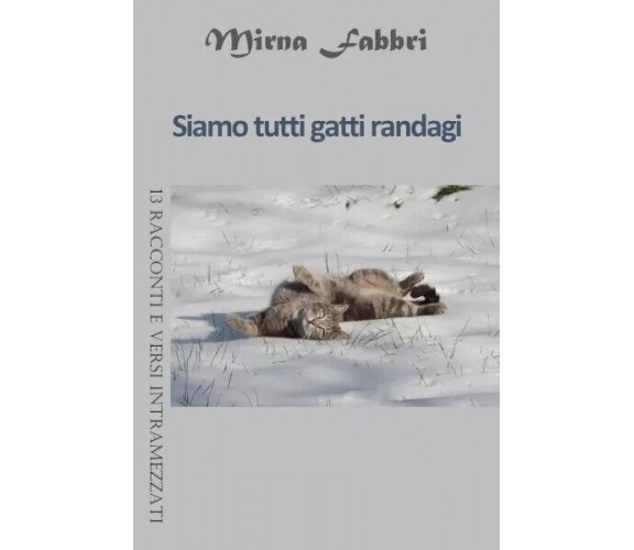 Siamo tutti gatti randagi. 13 racconti e versi intramezzati di Mirna Fabbri, 2