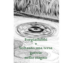 Soltanto una tersa goccia nello stagno	 di Forgiadubbi,  2016,  Youcanprint