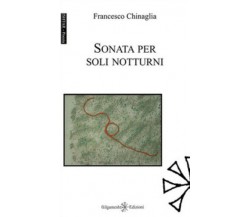 Sonata per soli notturni di Francesco Chinaglia,  2020,  Gilgamesh Edizioni