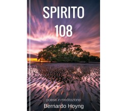 Spirito 108 di Bernardo Hoyng,  2017,  Youcanprint