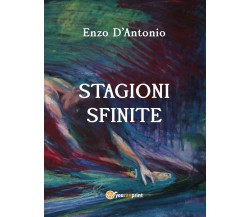 Stagioni sfinite	 di Enzo D’Antonio,  2020,  Youcanprint