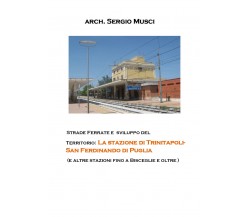 Strade ferrate e sviluppo del territorio - Sergio Musci,  2019 - P