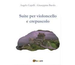 Suite per violoncello e crepuscolo	 di Angelo Copelli, Giuseppina Barolo,  2017