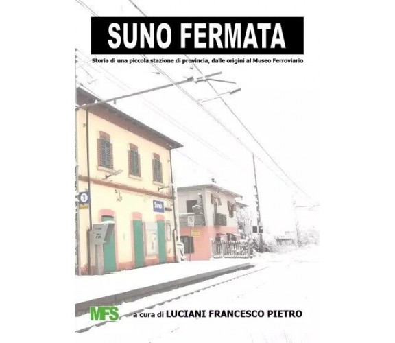 Suno Fermata. Storia di una piccola stazione di provincia, dalle origini al Muse