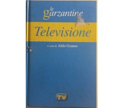 Televisione di Aldo Grasso, 2003, Tv Sorrisi E Canzoni
