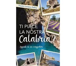 Ti piace la nostra Calabria? Appunti di un viaggiatore di Fausto Luciano Pellin