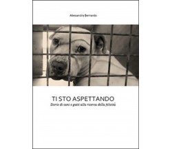 Ti sto aspettando	 di Alessandra Bernardo,  2015,  Youcanprint