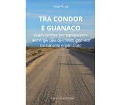 Tra Condor e Guanaco. Guida pratica per backpackers dell’Argentina dell’ovest ig