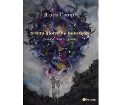 Trenta giorni ha novembre. Poesie 2017-2020 di Luca Campi,  2021,  Youcanprint