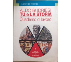 Tu e la storia 1, quaderno di lavoro	 di Aldo Budriesi, 1995, Loescher Editore