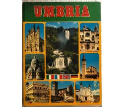 Umbria di Aa.vv.,  1980,  Regione Umbria Ufficio Turismo