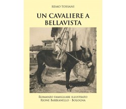 Un Cavaliere a Bellavista	 di Remo Tossani,  2019,  Youcanprint