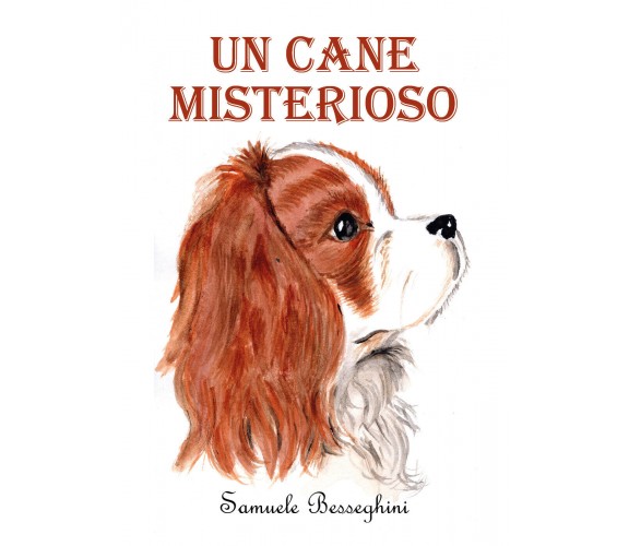 Un cane misterioso di Samuele Besseghini,  2022,  Youcanprint